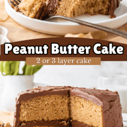 A layered peanut butter cake with chocolate frosting is sliced and served on plates, with a glass of milk in the background. Text overlay reads Peanut Butter Cake, 2 or 3 layer cake.